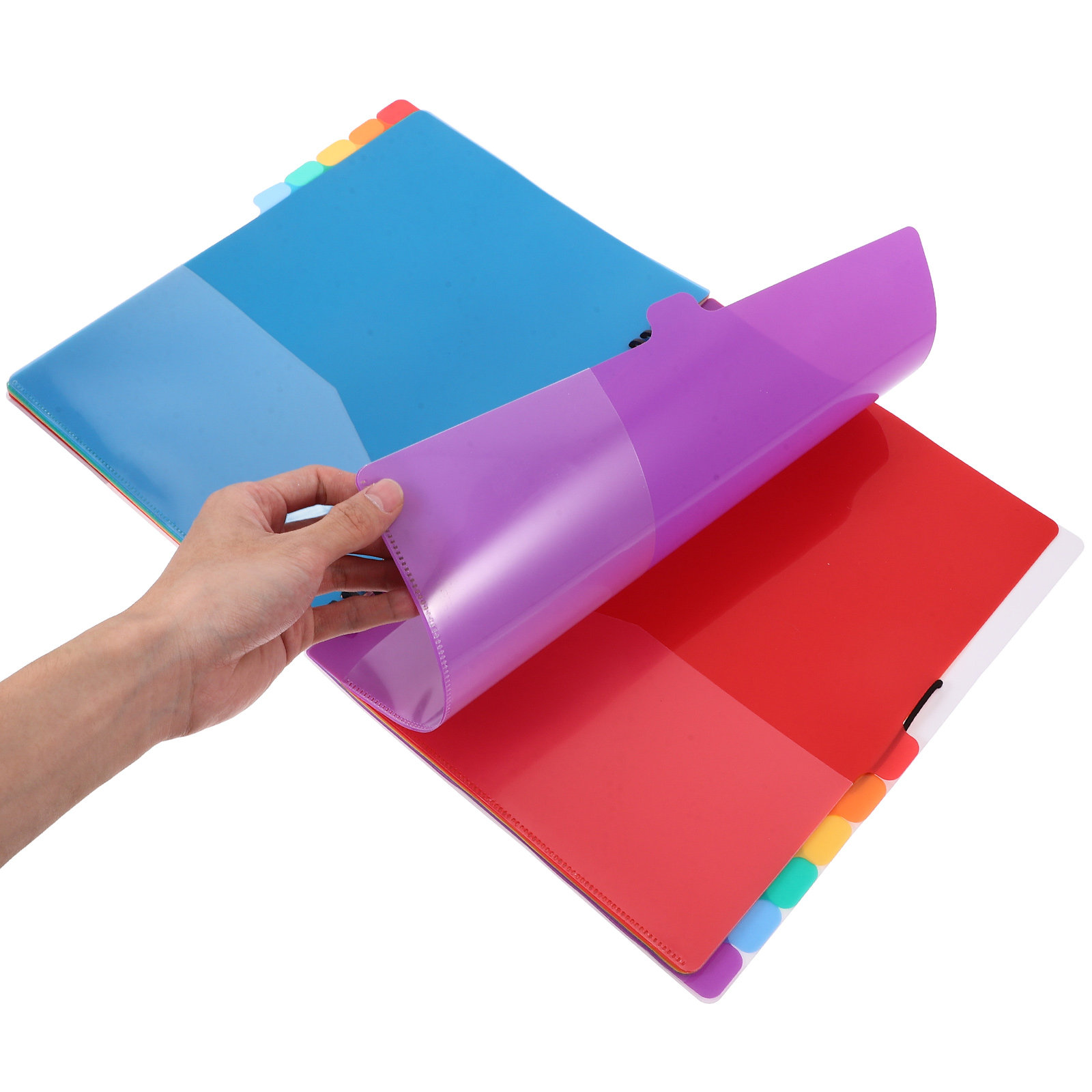 A4 Document Organizer Folder w - Tab Divider A4 review and price